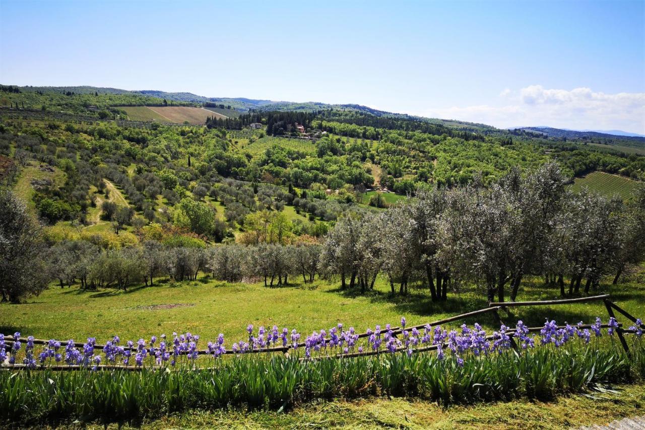 La Compagnia Del Chianti Aparthotel San Donato in Poggio Ngoại thất bức ảnh